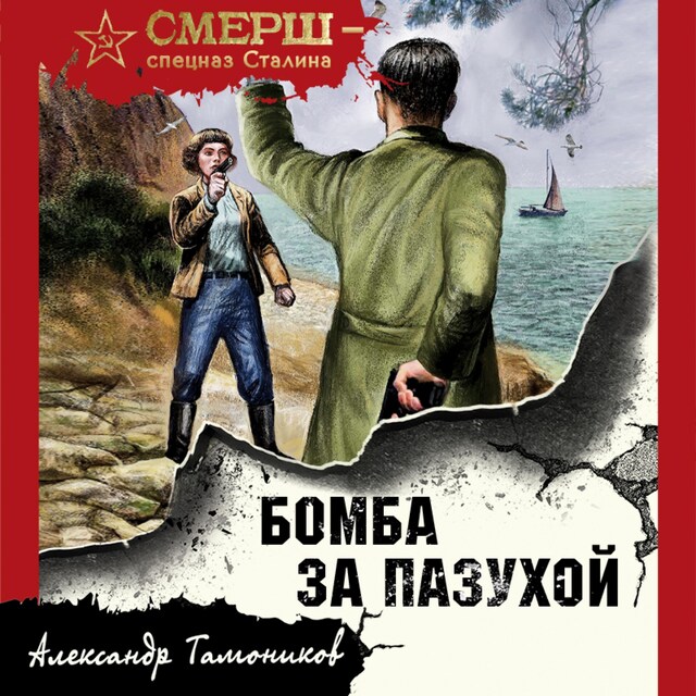 Couverture de livre pour Бомба за пазухой