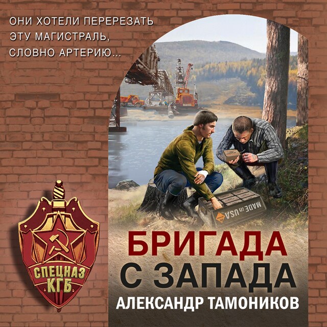 Portada de libro para Бригада с запада