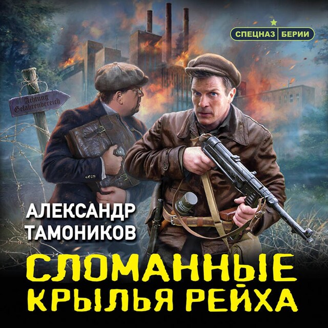 Buchcover für Сломанные крылья рейха