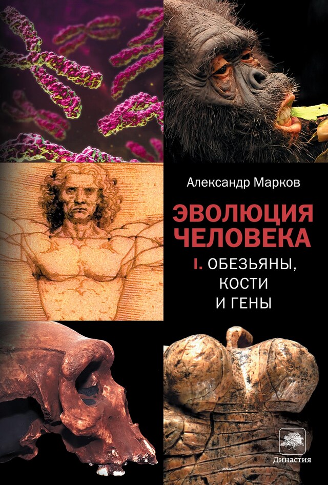 Book cover for Эволюция человека. Кн. 1. Обезьяны, кости и гены