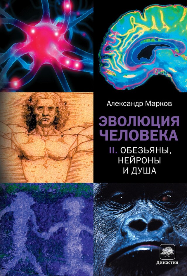 Book cover for Эволюция человека. Кн. 2. Обезьяны, нейроны и душа