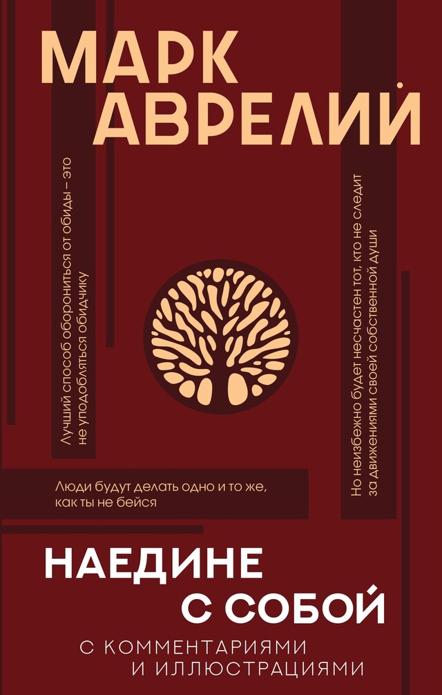 Book cover for Наедине с собой с комментариями и иллюстрациями