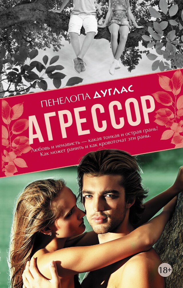 Portada de libro para Агрессор