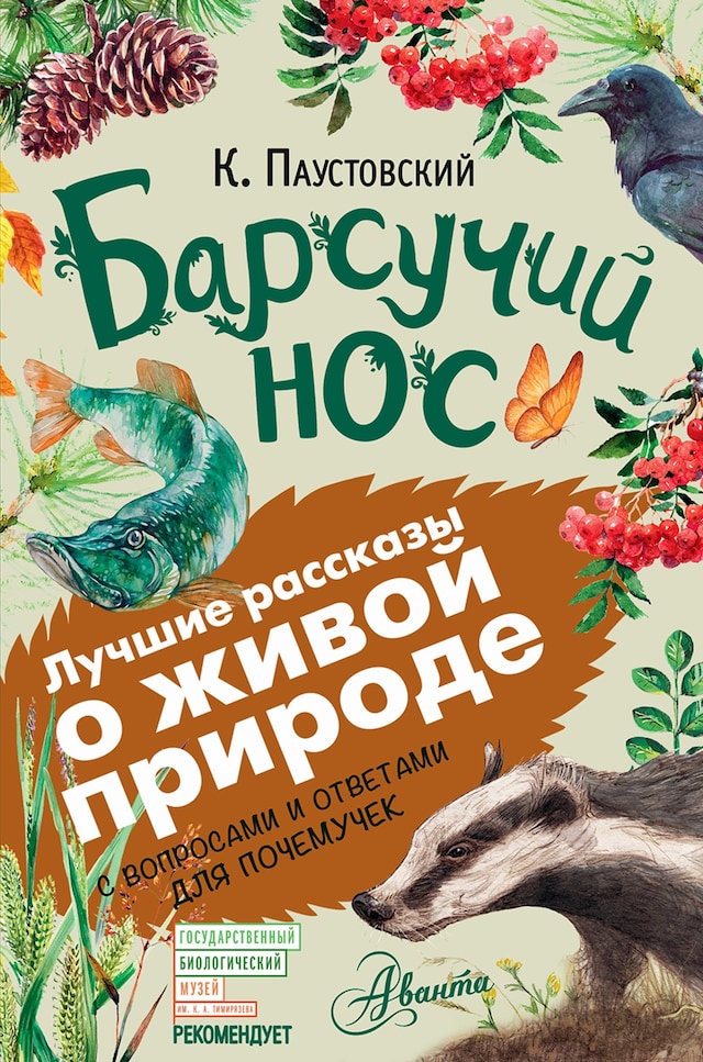 Book cover for Барсучий нос