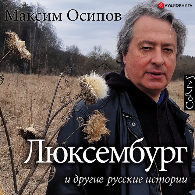 Book cover for "Люксембург" и другие русские истории