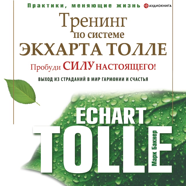 Buchcover für Тренинг по системе Экхарта Толле