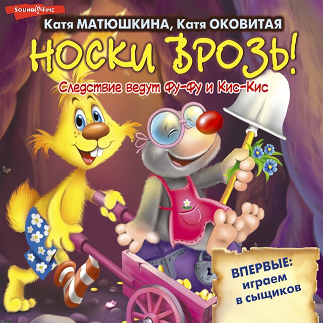 Buchcover für Носки врозь!