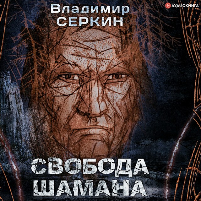 Book cover for Свобода шамана