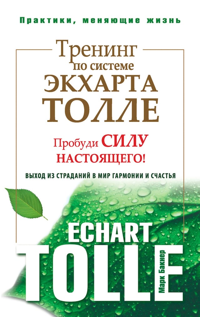 Kirjankansi teokselle Тренинг по системе Экхарта Толле. Пробуди силу настоящего! Выход из страданий в мир гармонии и счастья