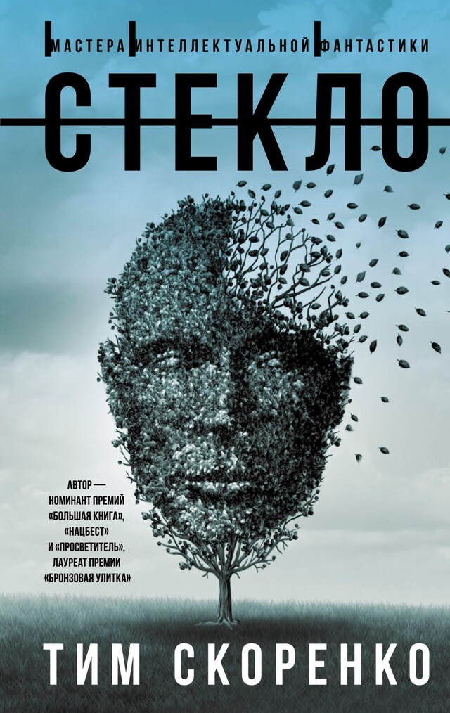 Copertina del libro per Стекло