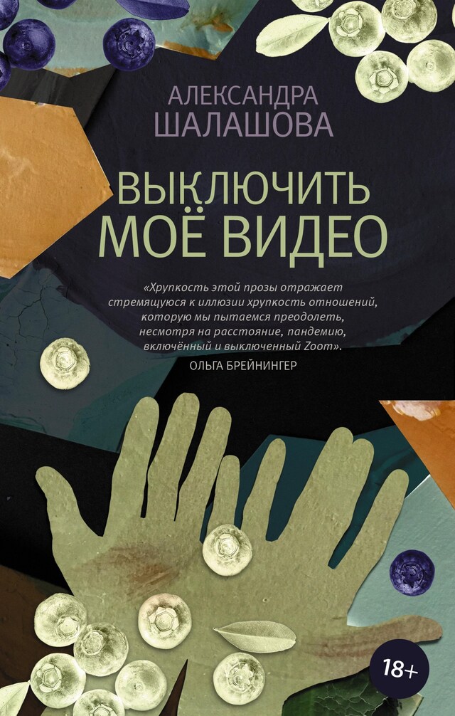 Book cover for Выключить моё видео