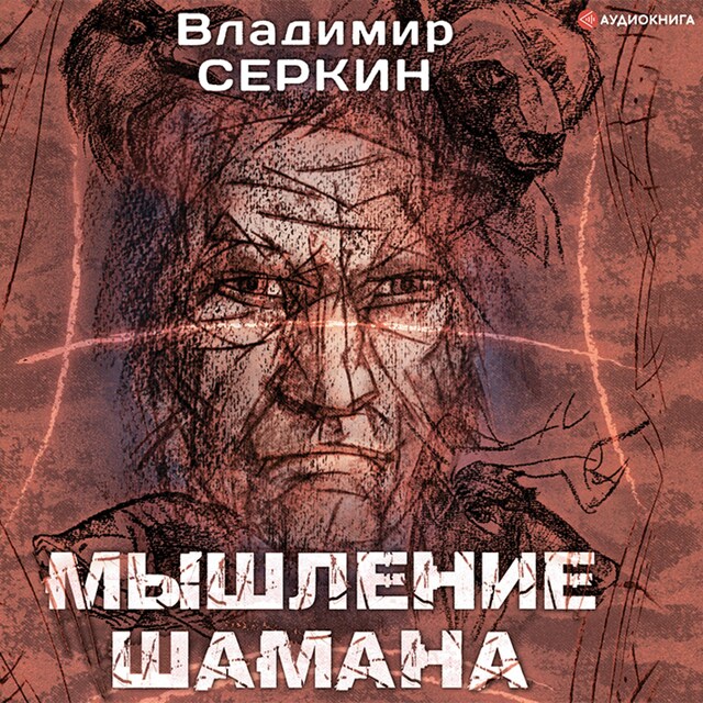 Book cover for Мышление шамана