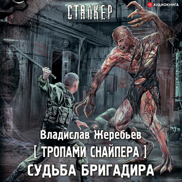 Book cover for Тропами Снайпера. Судьба Бригадира