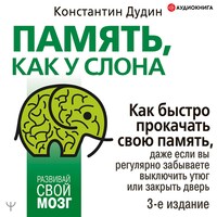 Память, как у слона. Как быстро прокачать свою память, даже если вы регулярно забываете выключить утюг или закрыть дверь