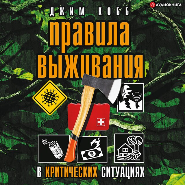 Book cover for Правила выживания в критических ситуациях