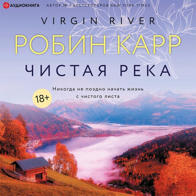 Buchcover für Чистая река