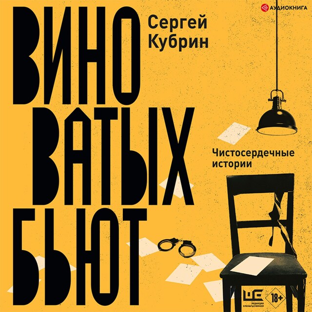 Buchcover für Виноватых бьют