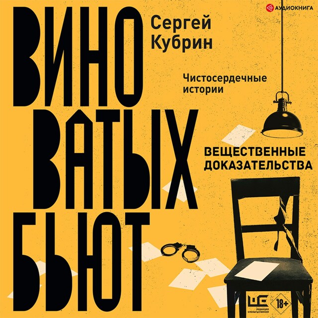 Book cover for Вещественные доказательства