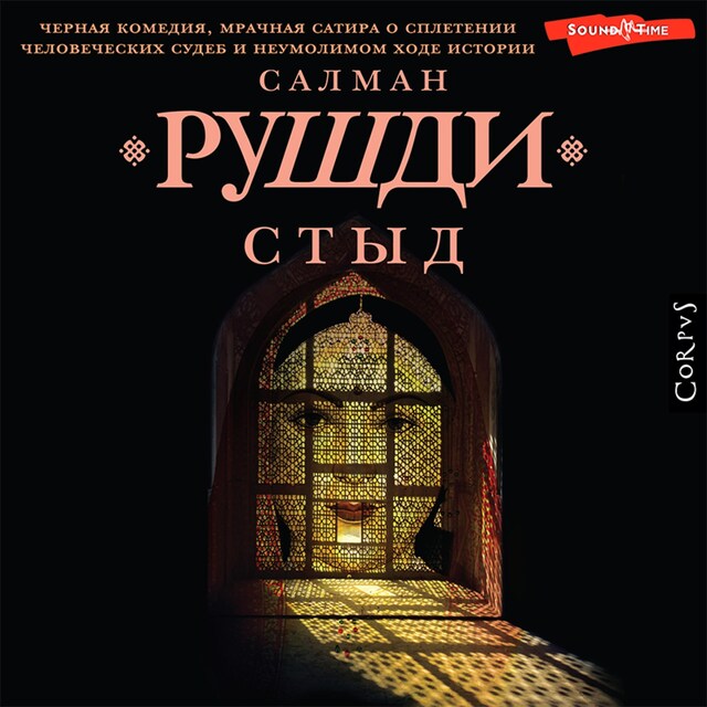 Book cover for Стыд