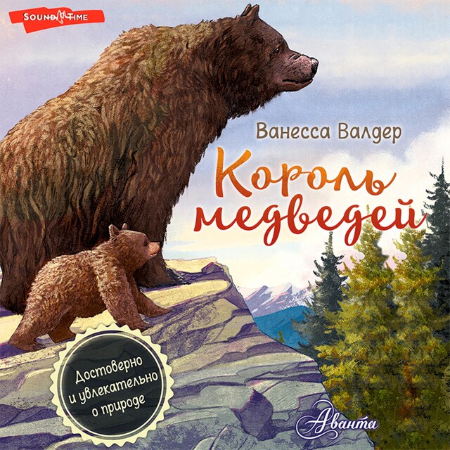 Copertina del libro per Король медведей