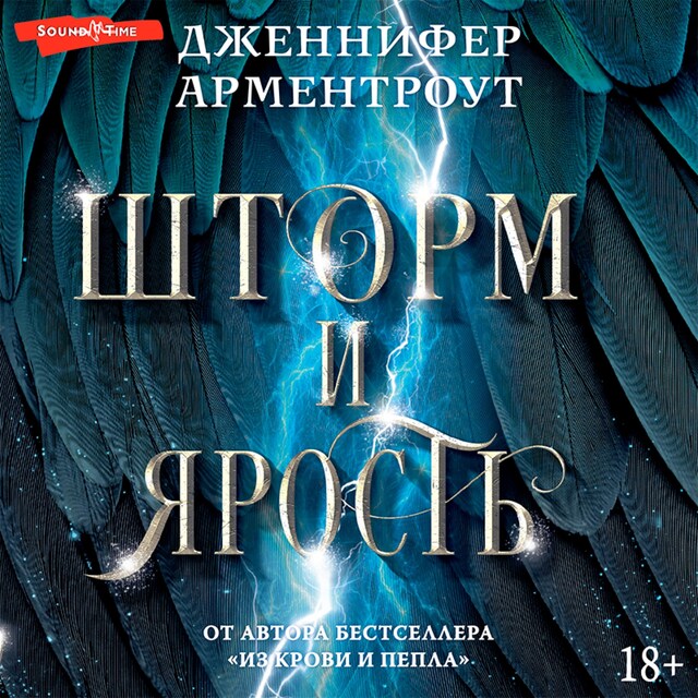 Portada de libro para Шторм и ярость