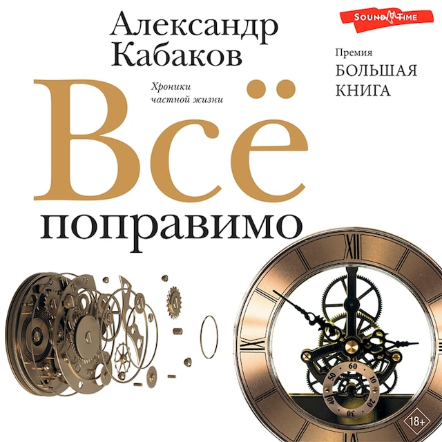 Portada de libro para Всё поправимо