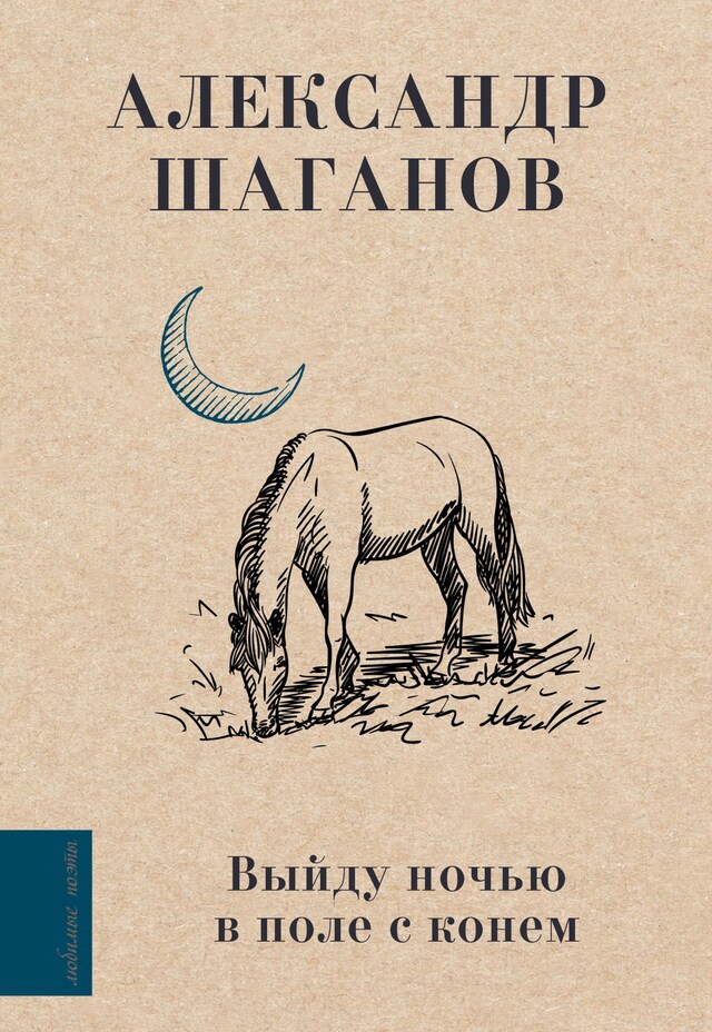 Buchcover für Выйду ночью в поле с конем
