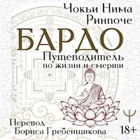 Бардо. Путеводитель по жизни и смерти