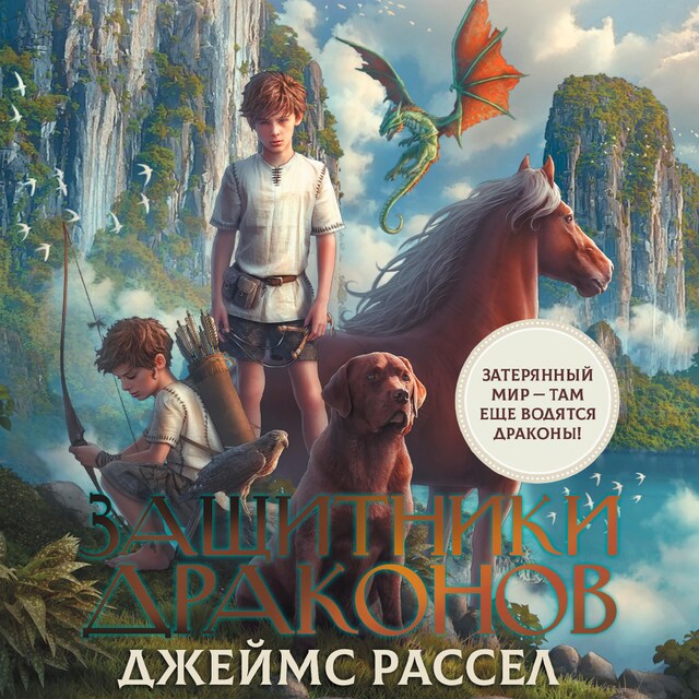 Book cover for Защитники драконов