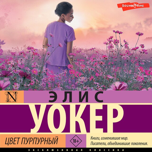 Buchcover für Цвет пурпурный