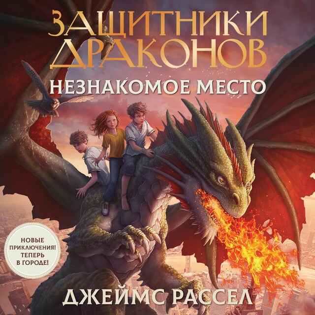 Couverture de livre pour Защитники драконов. Незнакомое место