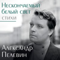 Нескончаемый белый свет. Стихи