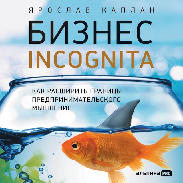 Book cover for Бизнес incognita: Как расширить границы предпринимательского мышления