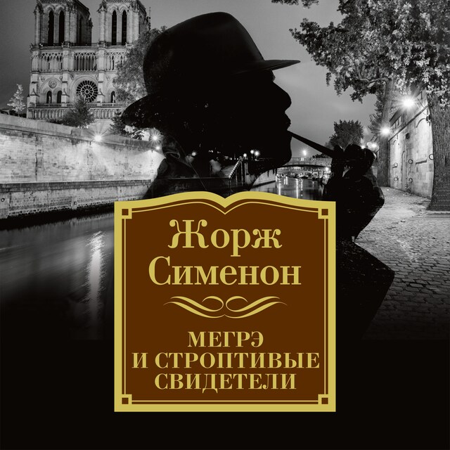 Couverture de livre pour Мегрэ и строптивые свидетели