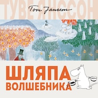 Шляпа Волшебника