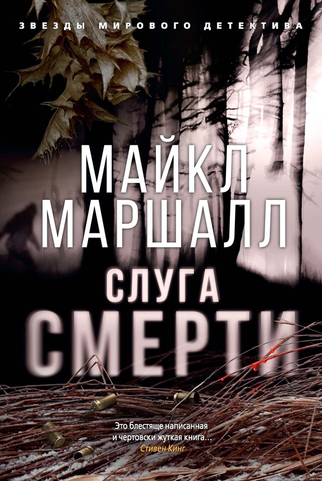 Book cover for Слуга смерти