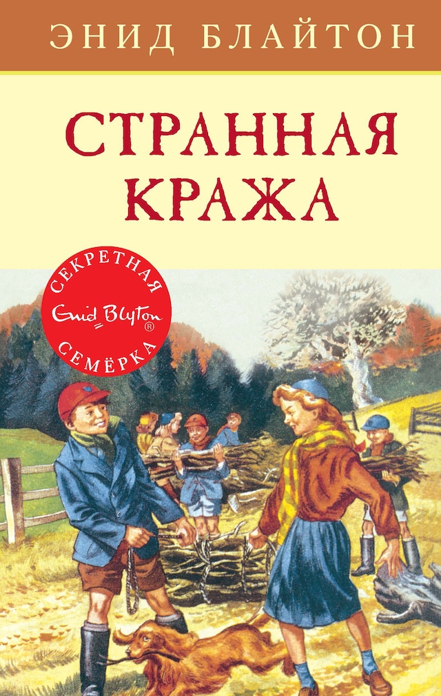 Boekomslag van Странная кража