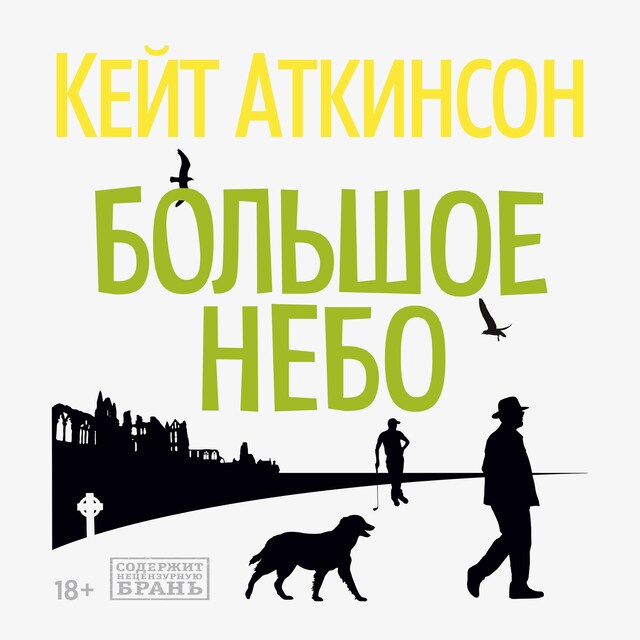 Book cover for Большое небо