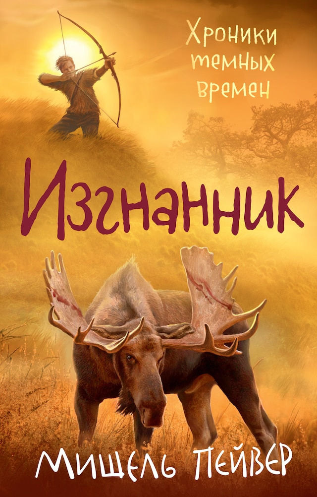 Book cover for Хроники темных времен. Кн. 4. Изгнанник