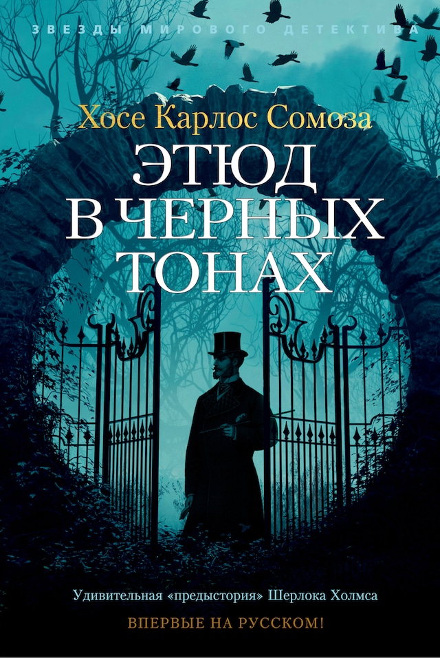Book cover for Этюд в черных тонах