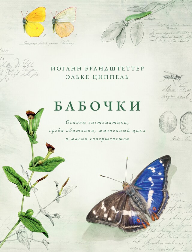 Book cover for Бабочки. Основы систематики, среда обитания, жизненный цикл и магия совершенства