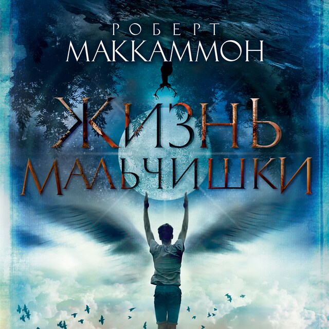 Book cover for Жизнь мальчишки