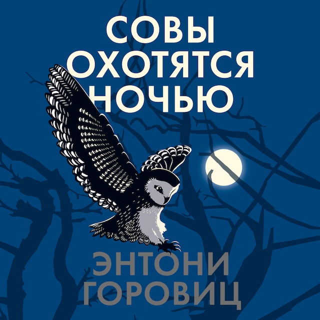 Couverture de livre pour Совы охотятся ночью