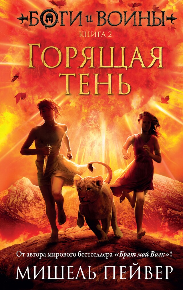 Kirjankansi teokselle Боги и воины. Книга 2. Горящая тень