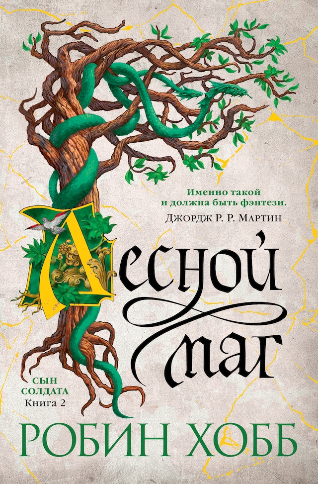 Book cover for Сын солдата. Книга 2. Лесной маг