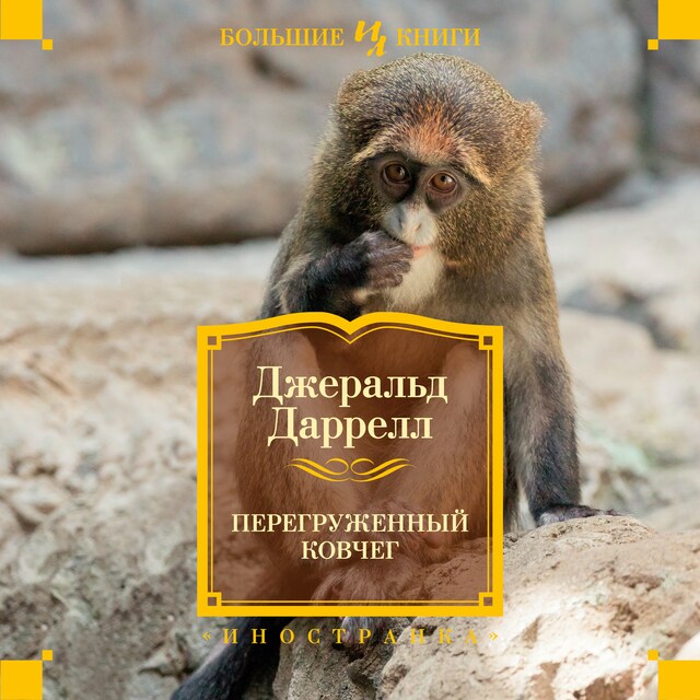Book cover for Перегруженный ковчег