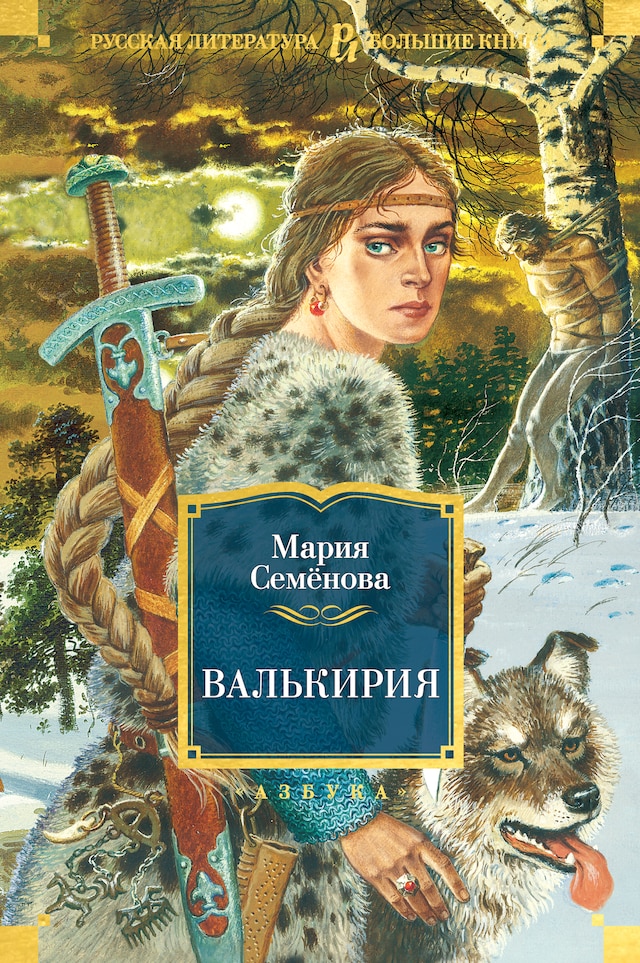 Okładka książki dla Валькирия