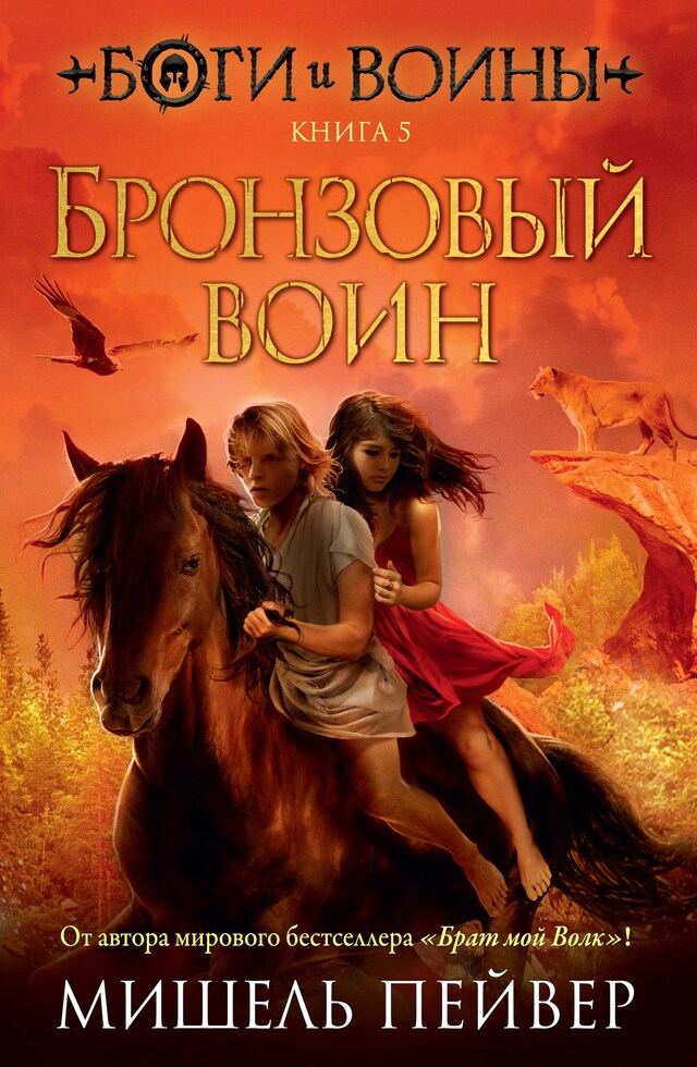 Bogomslag for Боги и воины. Книга 5. Бронзовый воин