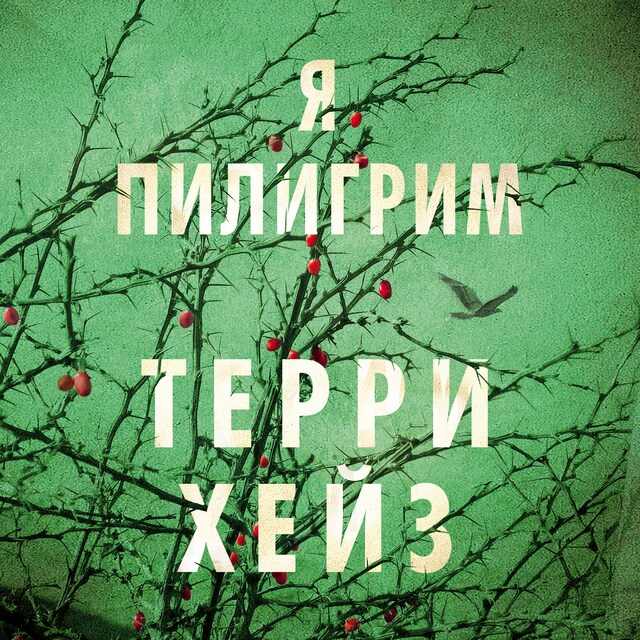 Book cover for Я Пилигрим