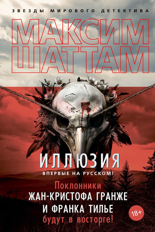 Buchcover für Иллюзия